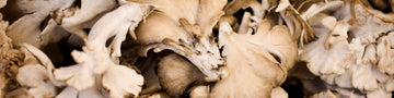 Image of How to Incorporate Beta-glucans Into Your Diet (and Why You Should)