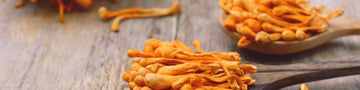 Image of Your Ultimate Guide to Cordyceps Mushroom Benefits