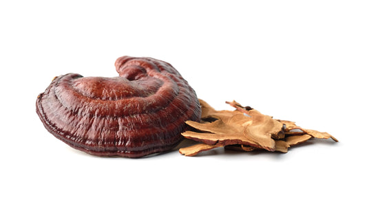 The reishi mushroom has properties to benefit your skin.