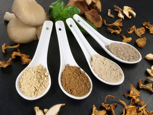 Mushroom powders for immune support