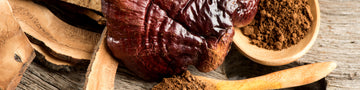 Image of Modern scientific research has identified a diverse array of bioactive compounds responsible for the reishi mushroom benefits so valued in Eastern medicine.