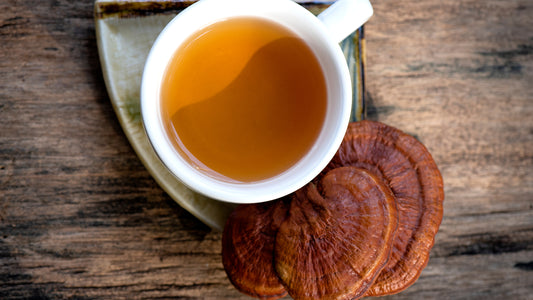 Cup of reishi mushroom tea and mushrooms on wooden table.