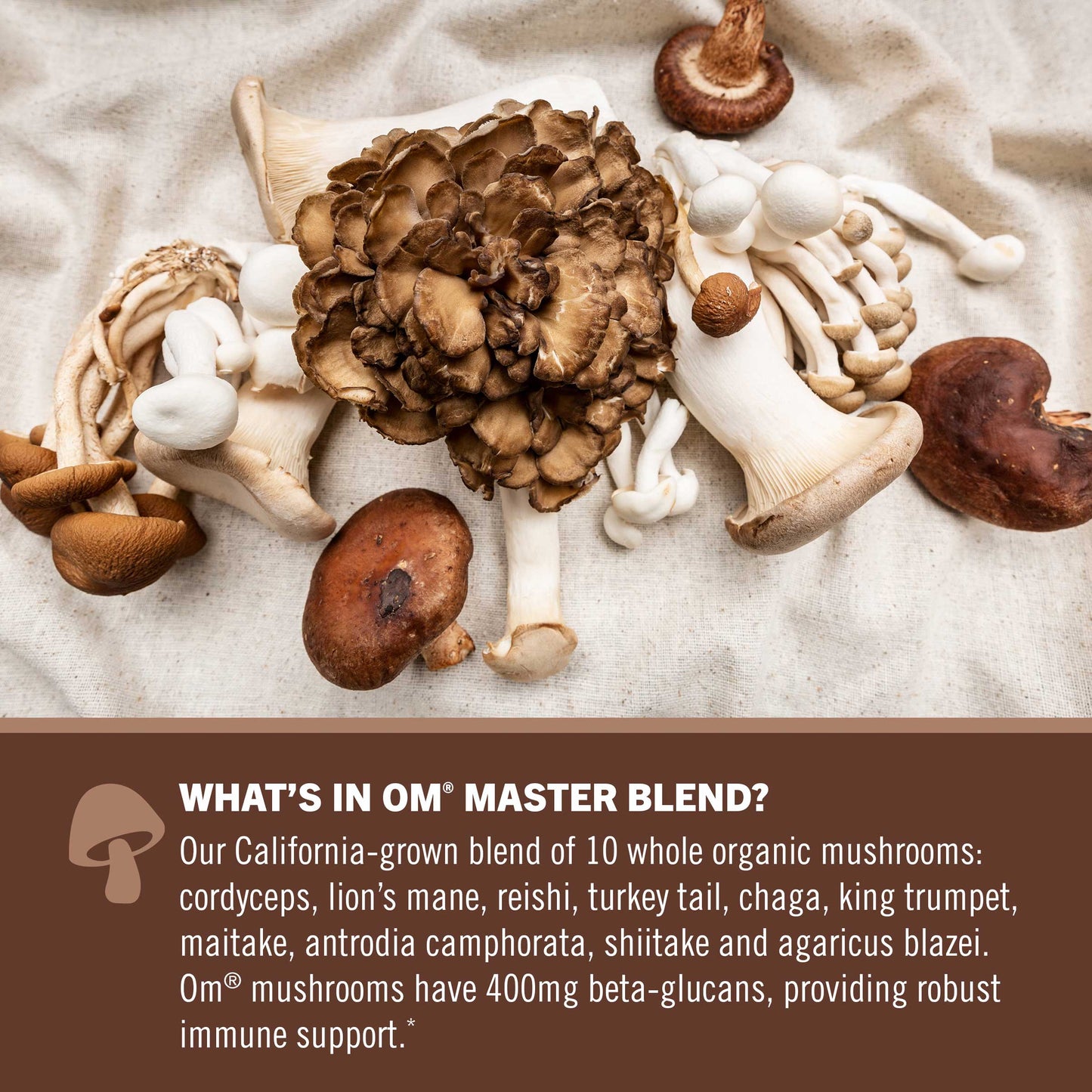 Master Blend Plant Protein