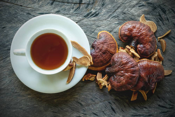 Reishi mushrooms and adaptogen elixir