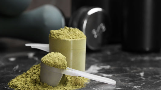 Scoops of plant protein powder for the “which is better plant based or whey protein powder” debate.