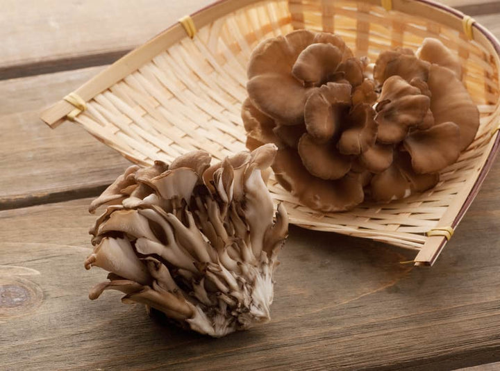 Two maitake mushrooms, sources of ergothioneine, on wooden table