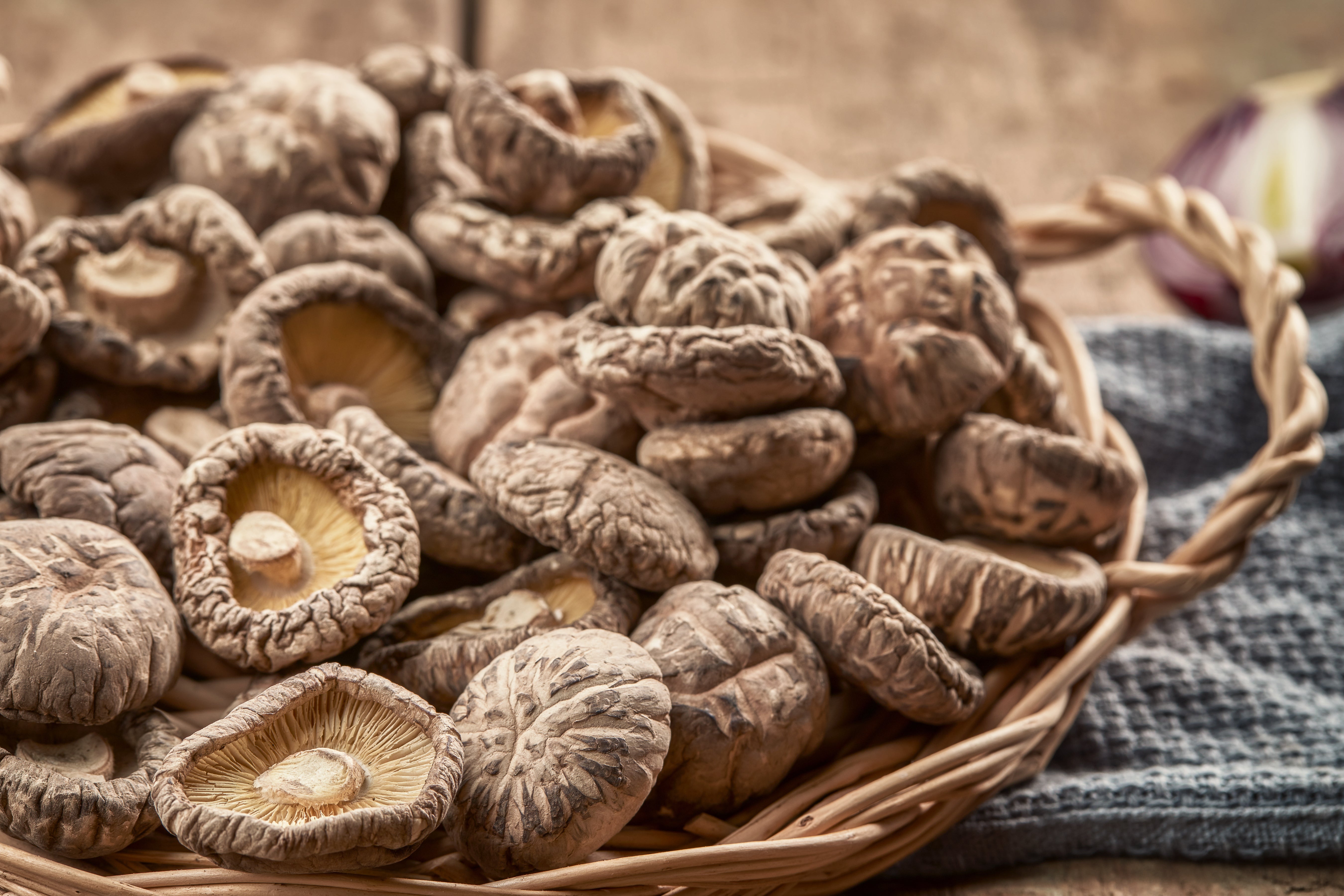 Mushrooms contain a variety of polysaccharides, including alpha- and beta-glucans.