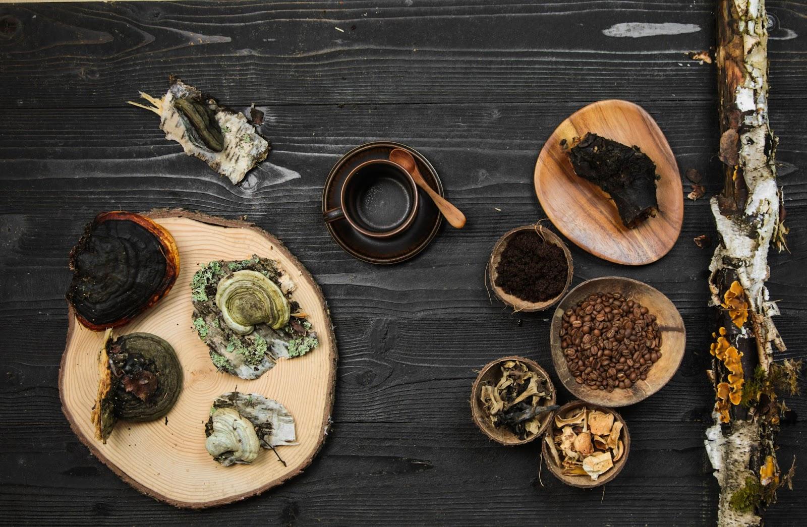 What are medicinal mushrooms? Various mushroom species on a table.