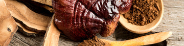Modern scientific research has identified a diverse array of bioactive compounds responsible for the reishi mushroom benefits so valued in Eastern medicine.