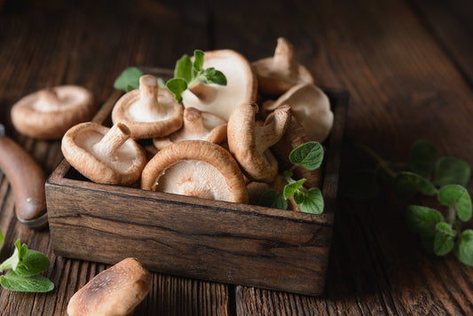 Shiitake superfood mushroom supplements can provide a variety of benefits.