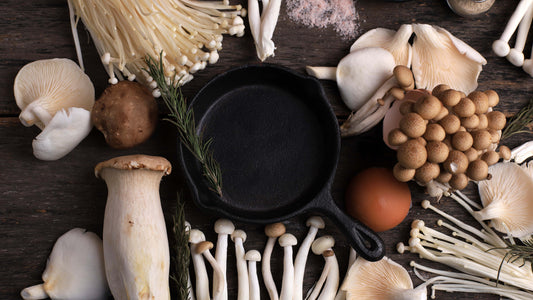 An assortment of Asian medicinal mushrooms on a table.