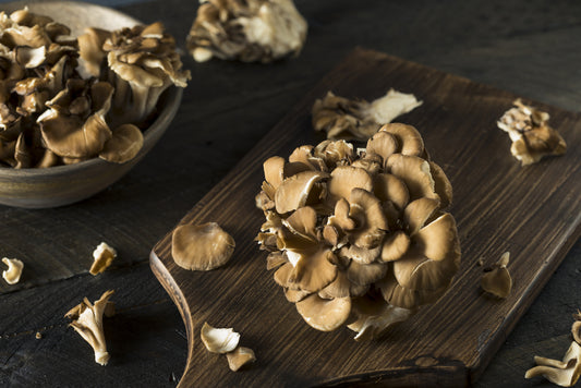 Maitake is also known as “hen-of-the-woods” for its appearance.