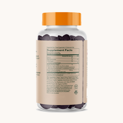 Brain Fuel+ Mushroom Gummies