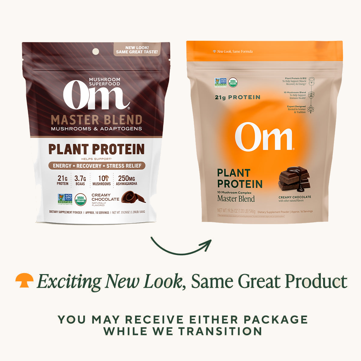 Master Blend Plant Protein Creamy Chocolate