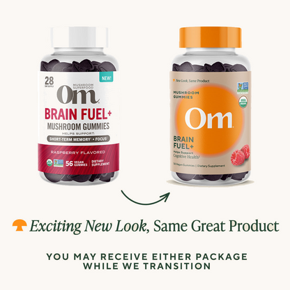 Brain Fuel+ Mushroom Gummies