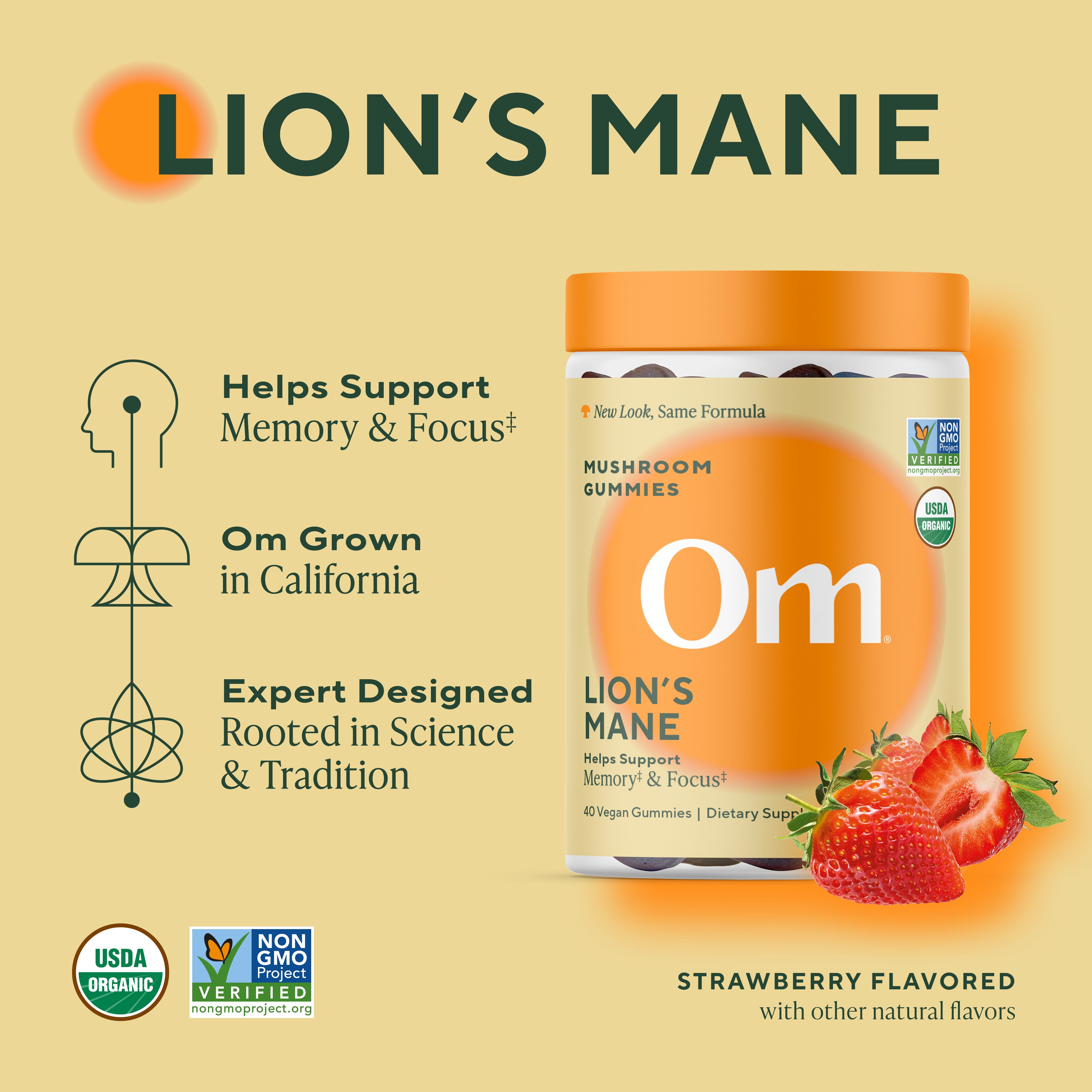 Gummy Starter Pack — Master Blend + Lion's Mane + Relax Bundle