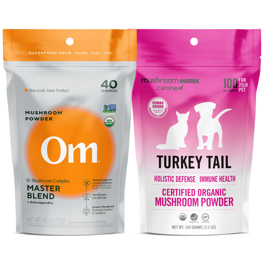 Buddy Immune Support Bundle- For You + Pet, powders