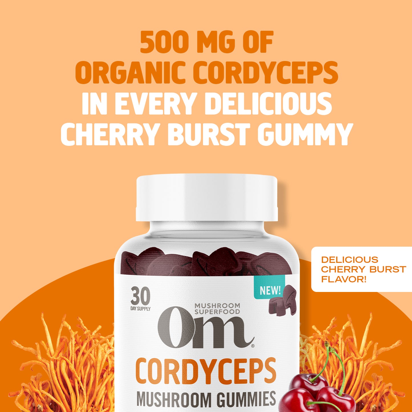 NEW Cordyceps Mushroom Gummies