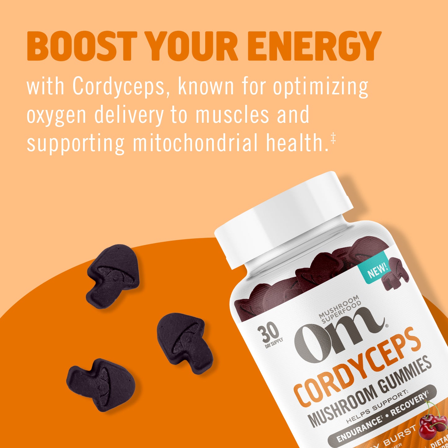 NEW Cordyceps Mushroom Gummies