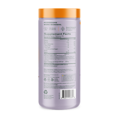 Mushroom Hot Chocolate Blend