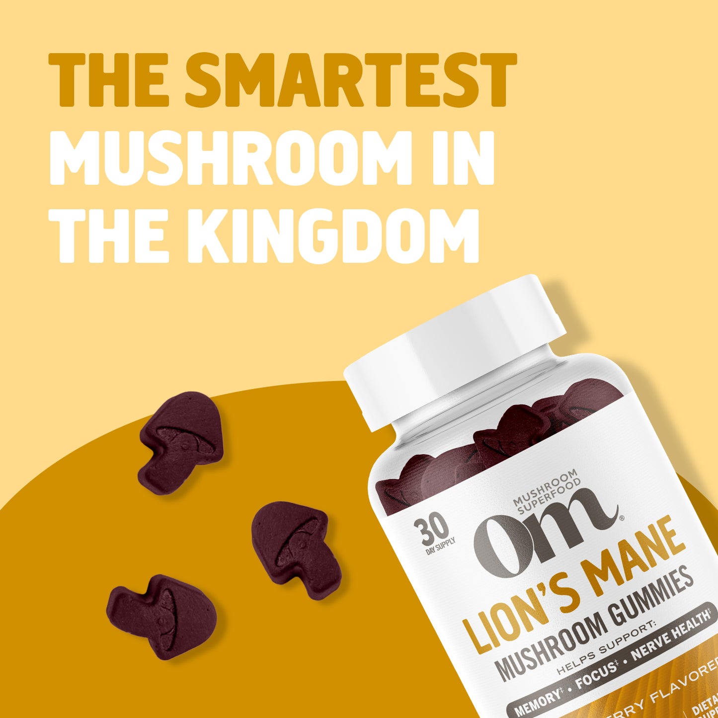 Lion’s Mane Mushroom Gummies