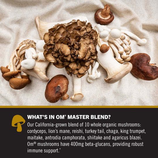 Buy Master Blend Mushroom Powder Supplement | Om – Om Mushroom Superfood