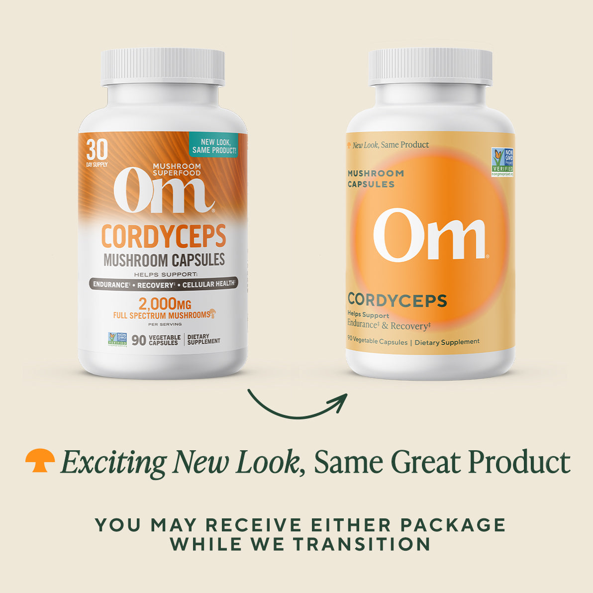 Cordyceps Capsules- BROKER