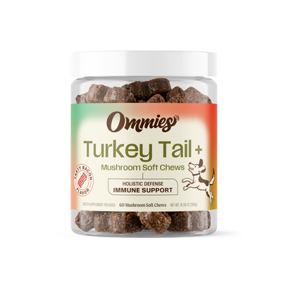 Ommies Turkey Tail+ Soft Chews for Dogs, 60 count jar, front