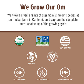 Organic Chocolate Protein Powder | Om Mushrooms Organic Chocolate ...