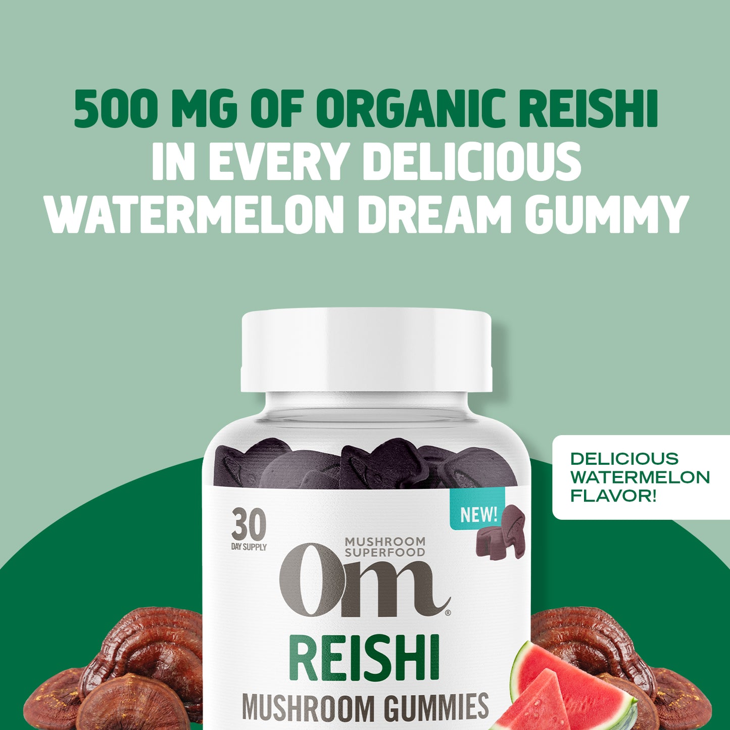 NEW Reishi Mushroom Gummies