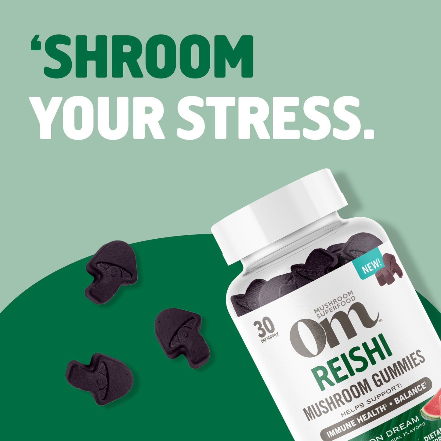 NEW Reishi Mushroom Gummies