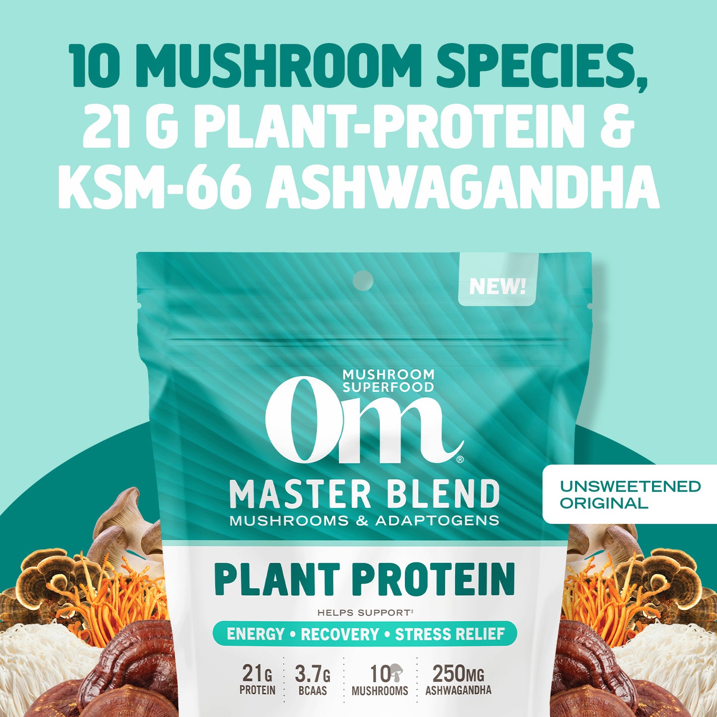 NEW Unsweetened Original Master Blend Plant Protein