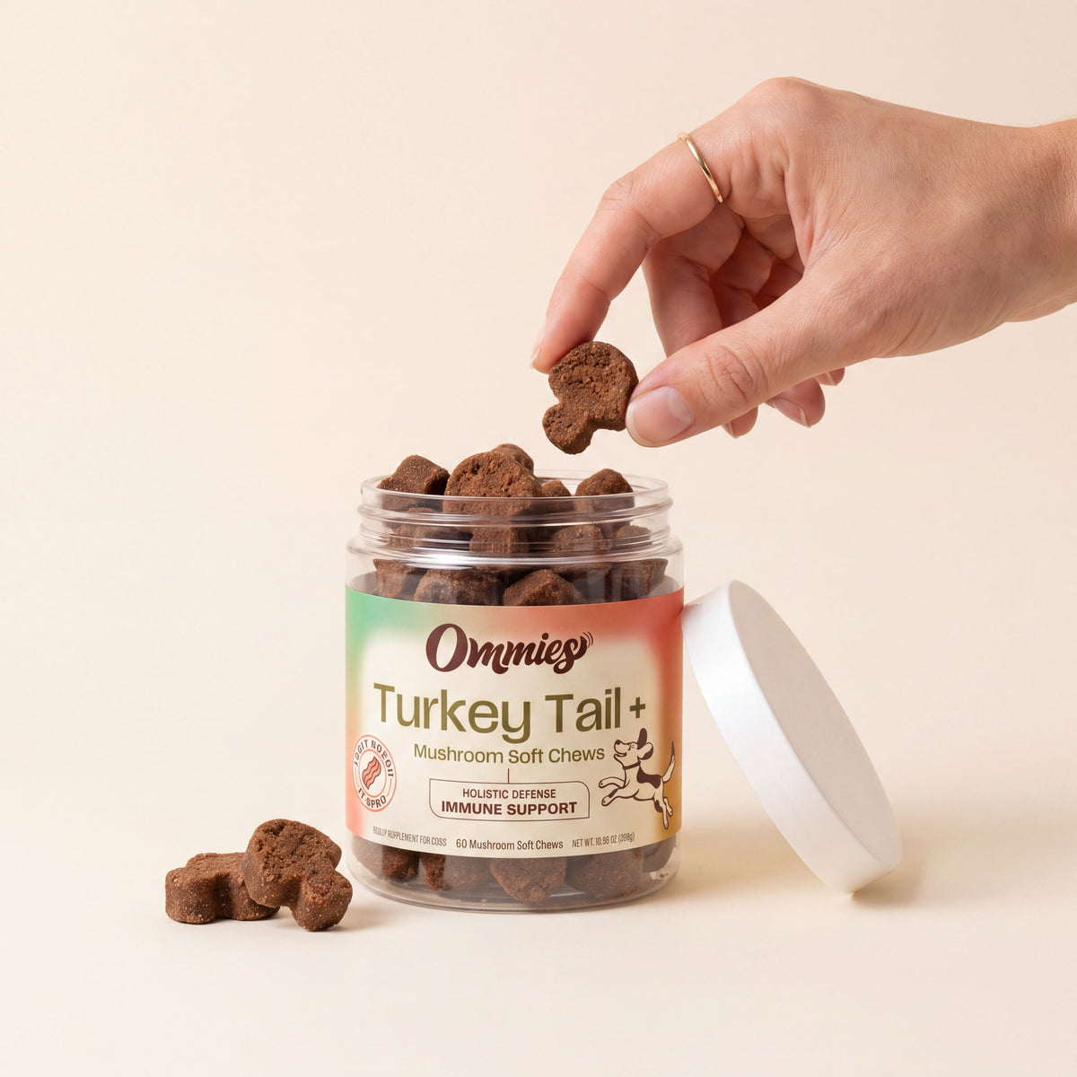 Hand holding an Ommies turkey tail soft chew