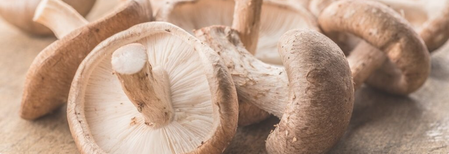 Image of mushrooms