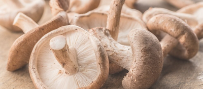 Image of mushrooms