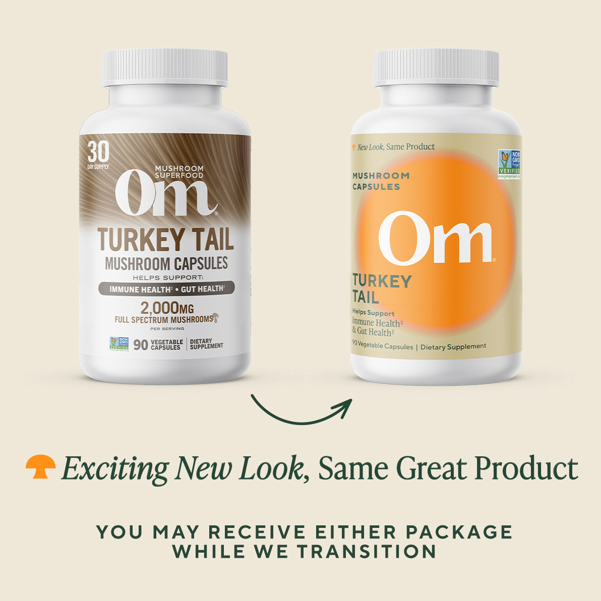 Turkey Tail Capsules- BROKER