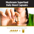 Load image into Gallery viewer, Master Blend Mushroom Capsules - 12 Servings
