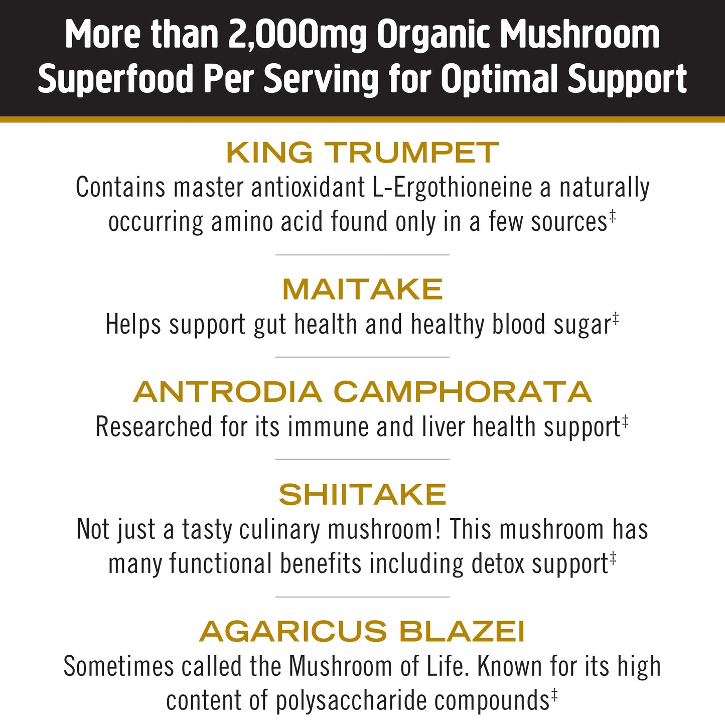 Master Blend Mushroom Capsules - 12 Servings