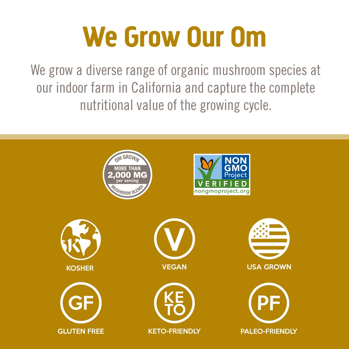 Master Blend Mushroom Capsules - 12 Servings