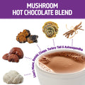 Load image into Gallery viewer, Mushroom Hot Chocolate Blend
