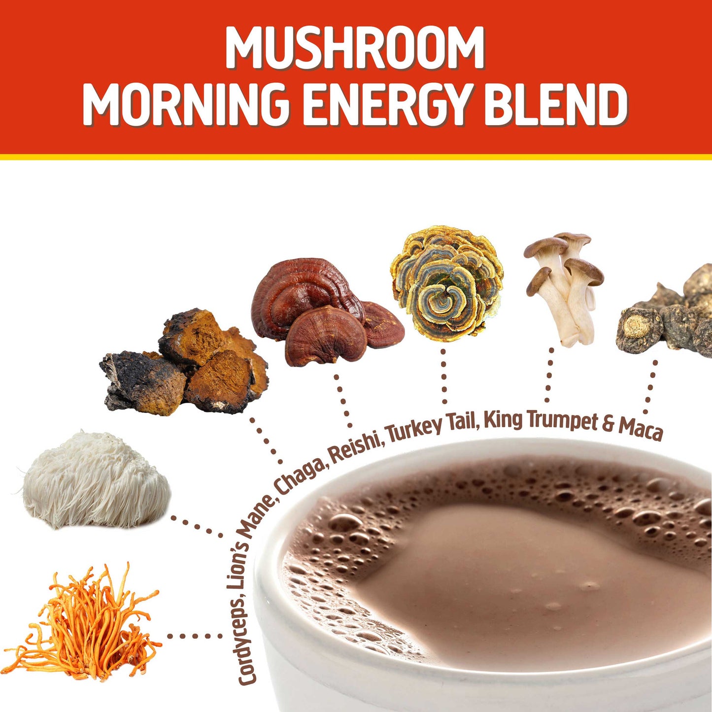 Mushroom Morning Blend