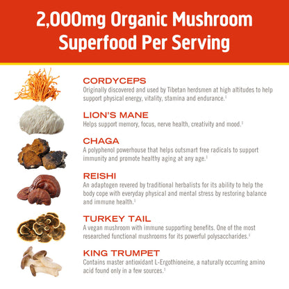 Mushroom Morning Blend