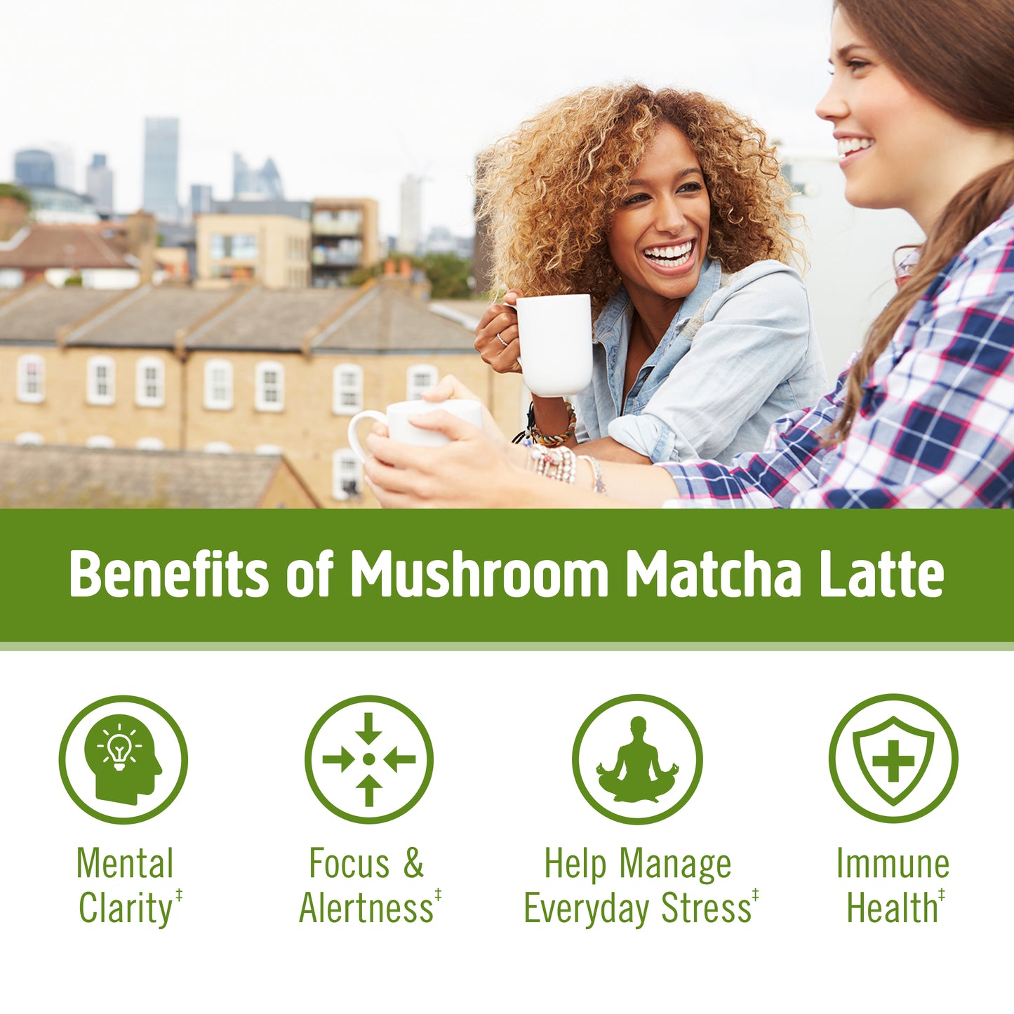 Mushroom Matcha Latte Blend