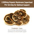 Load image into Gallery viewer, Turkey Tail Organic Mushroom Powder
