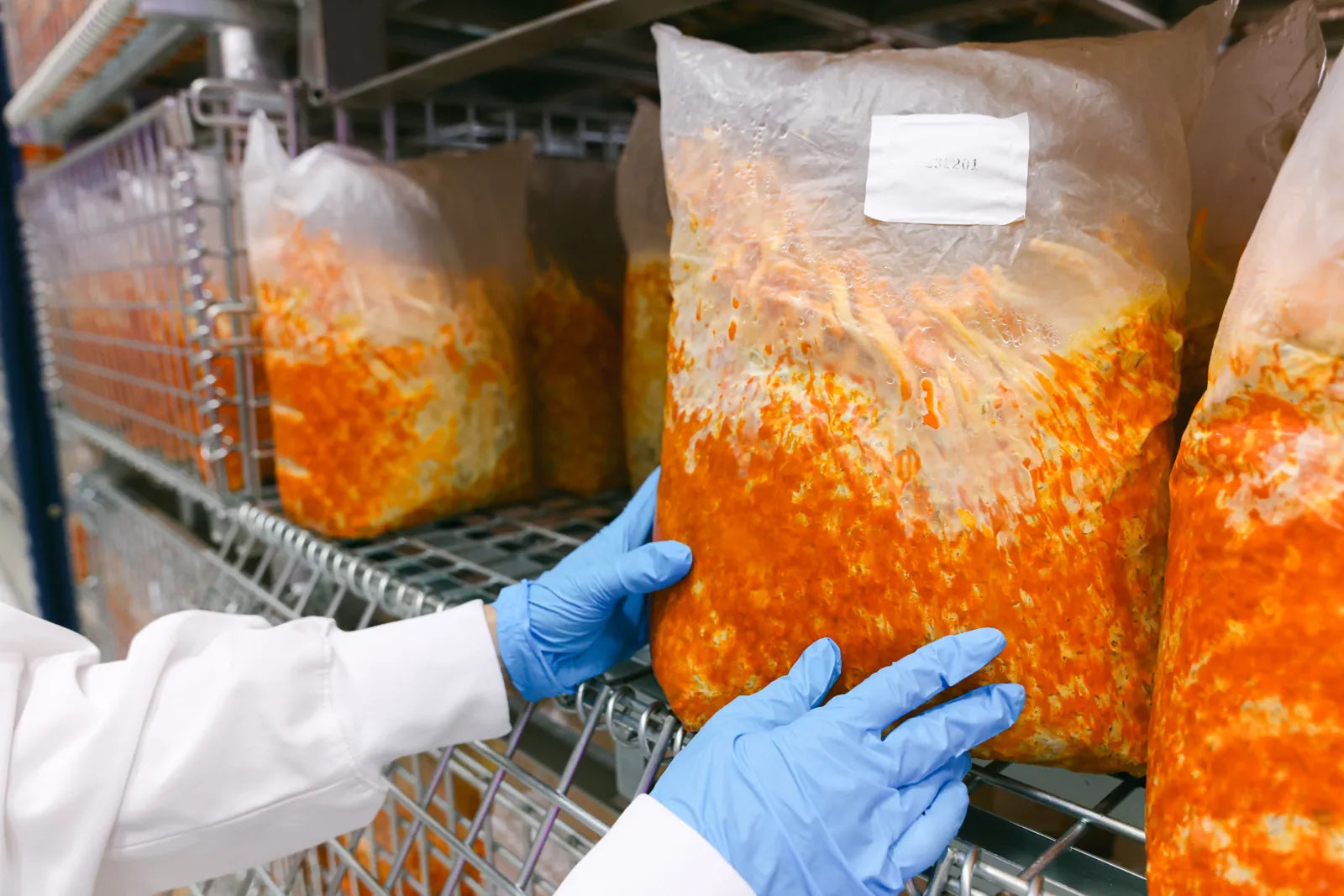 Gloved hands in a white lab coat turning a labelled bag of colonised substrate on a wire rack to inspect it.