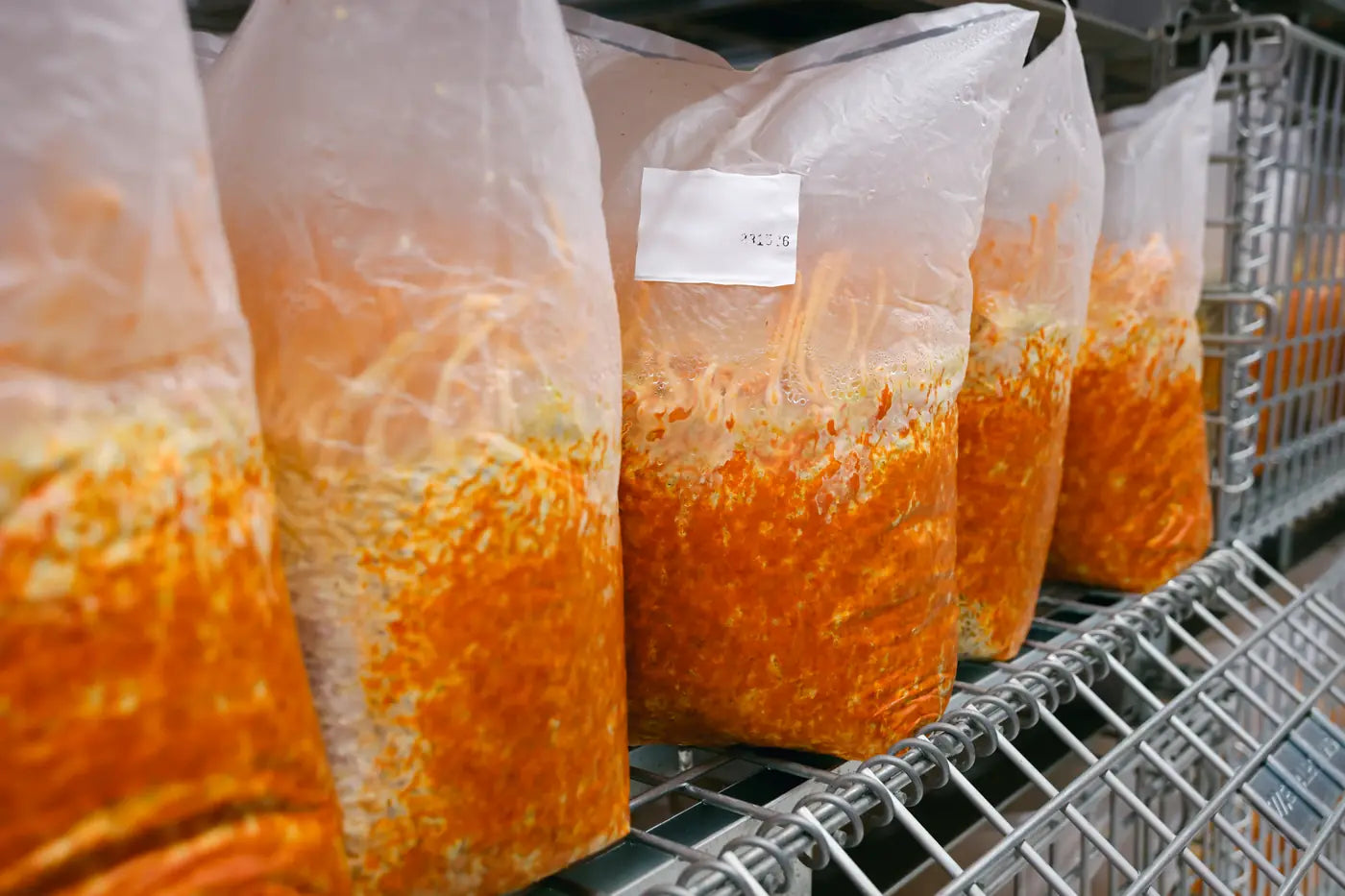 A row of clear growing bags on a wire rack, each filled with orange colonised substrate, one carrying a white production ticket.